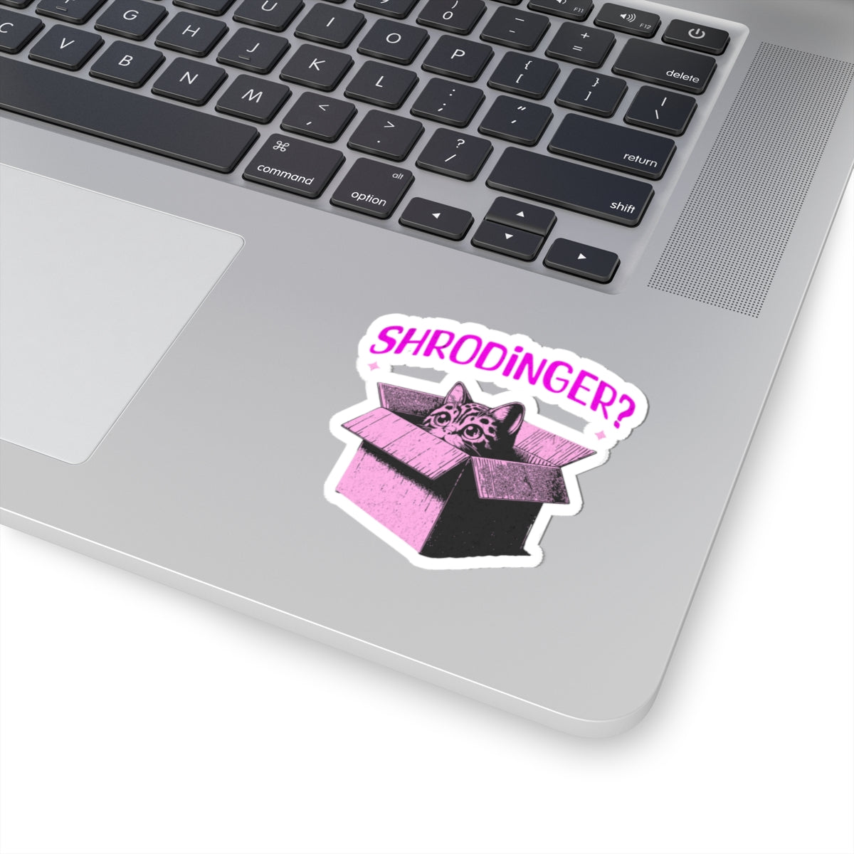 'Shrodinger?' Cat-Themed Sticker
