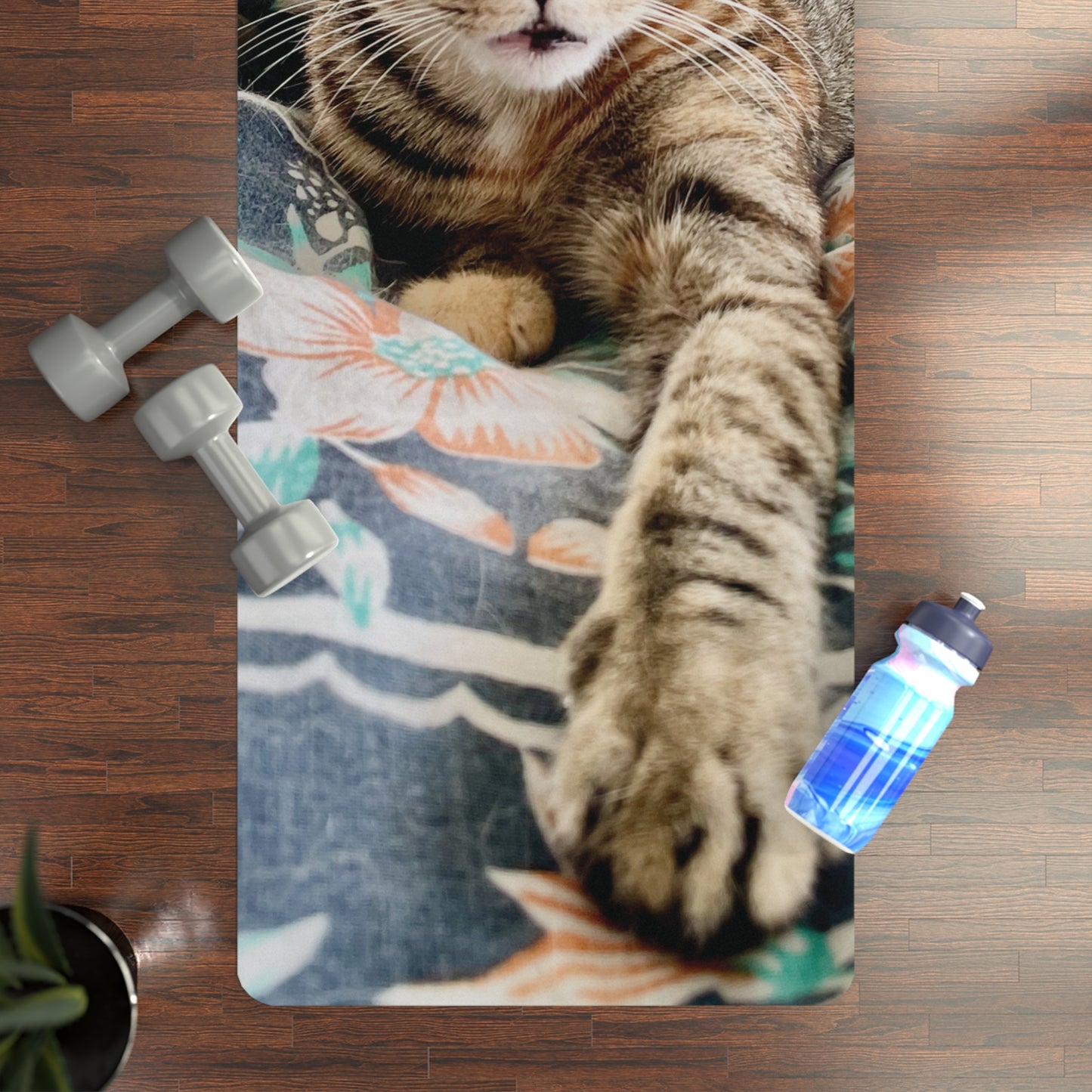 Cat lying on a colorful blanket with dumbbells and a water bottle nearby on a wooden floor.
