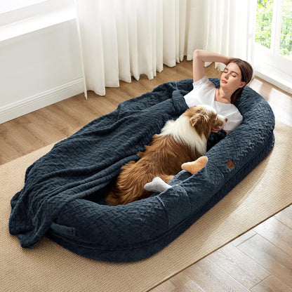 Woman and dog lying in a large blue pet bed in a bright room with white curtains.