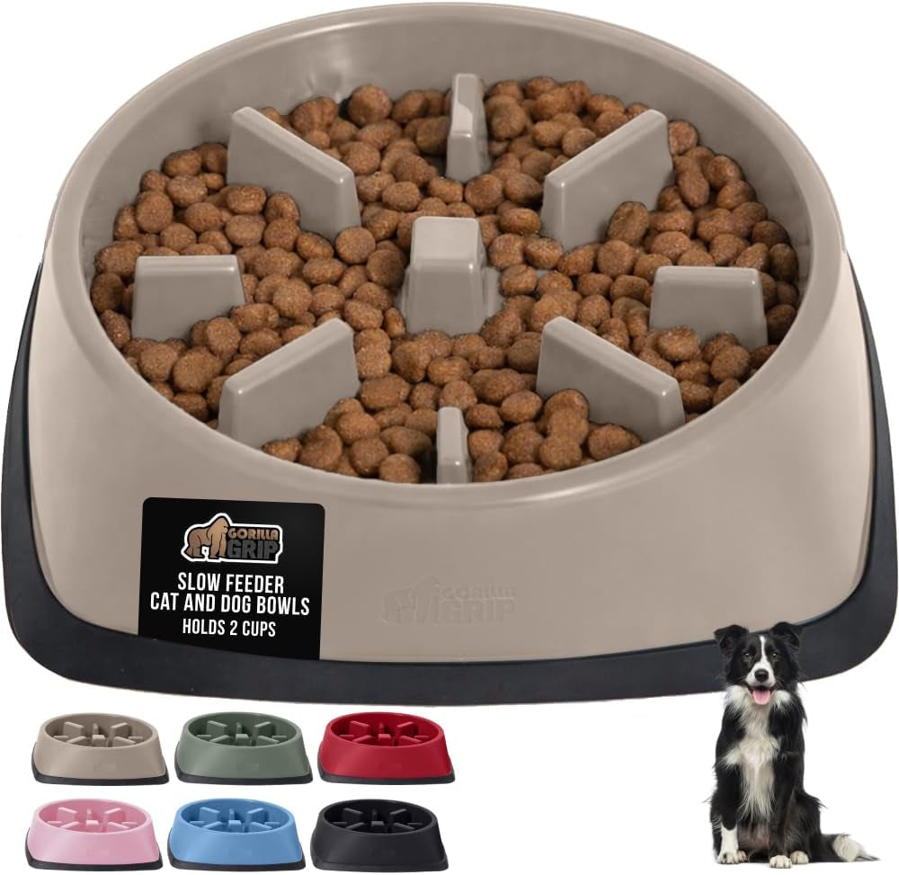 ’s Snack-Slowing, Puzzle-Paw-some Bowls: Because Your Pet Needs a Degree in Food Management!