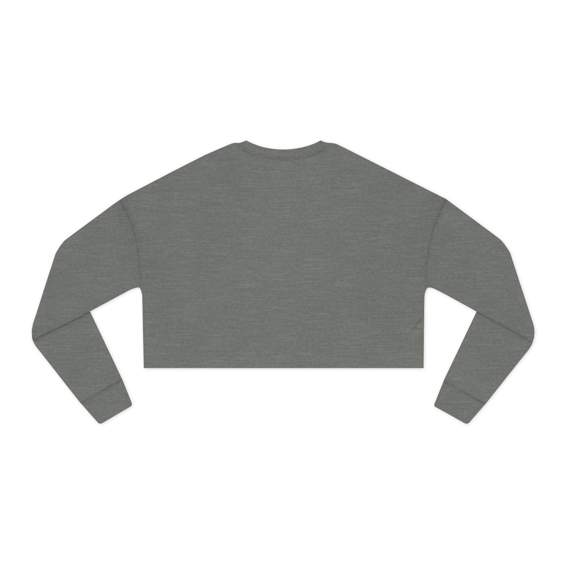 Gray long-sleeve crop top on a white background
