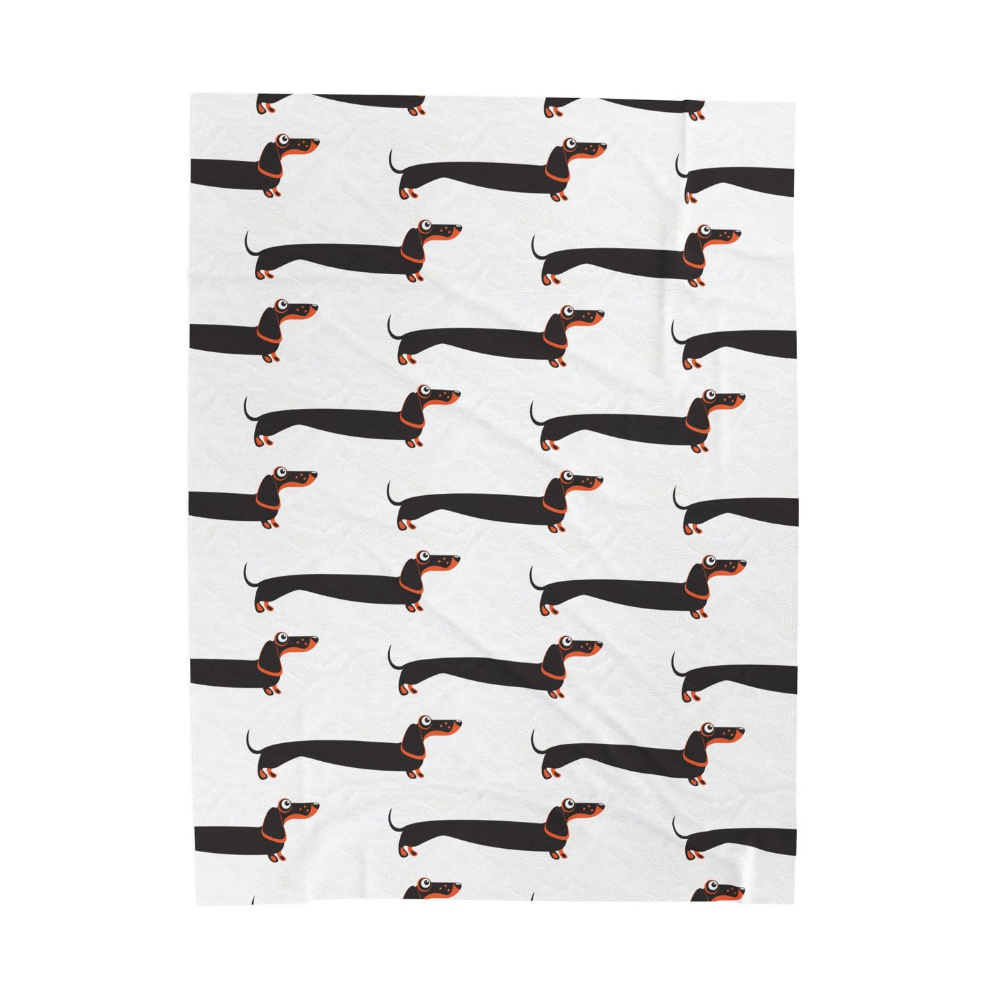 Dachshund blanket on white background
