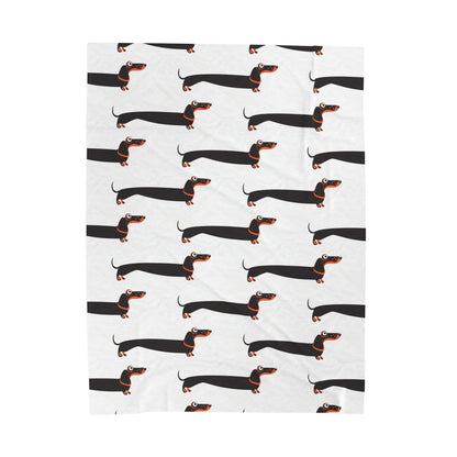 Dachshund blanket on white background