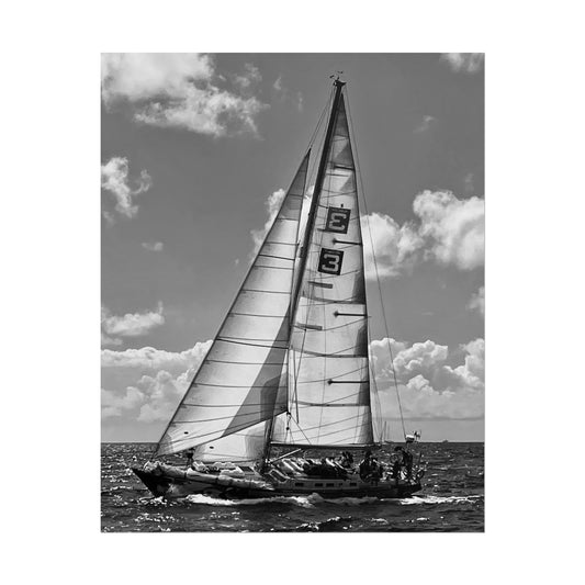 Print Poster Rholio Du a Gwyn Morwrol, Regatta Heineken.