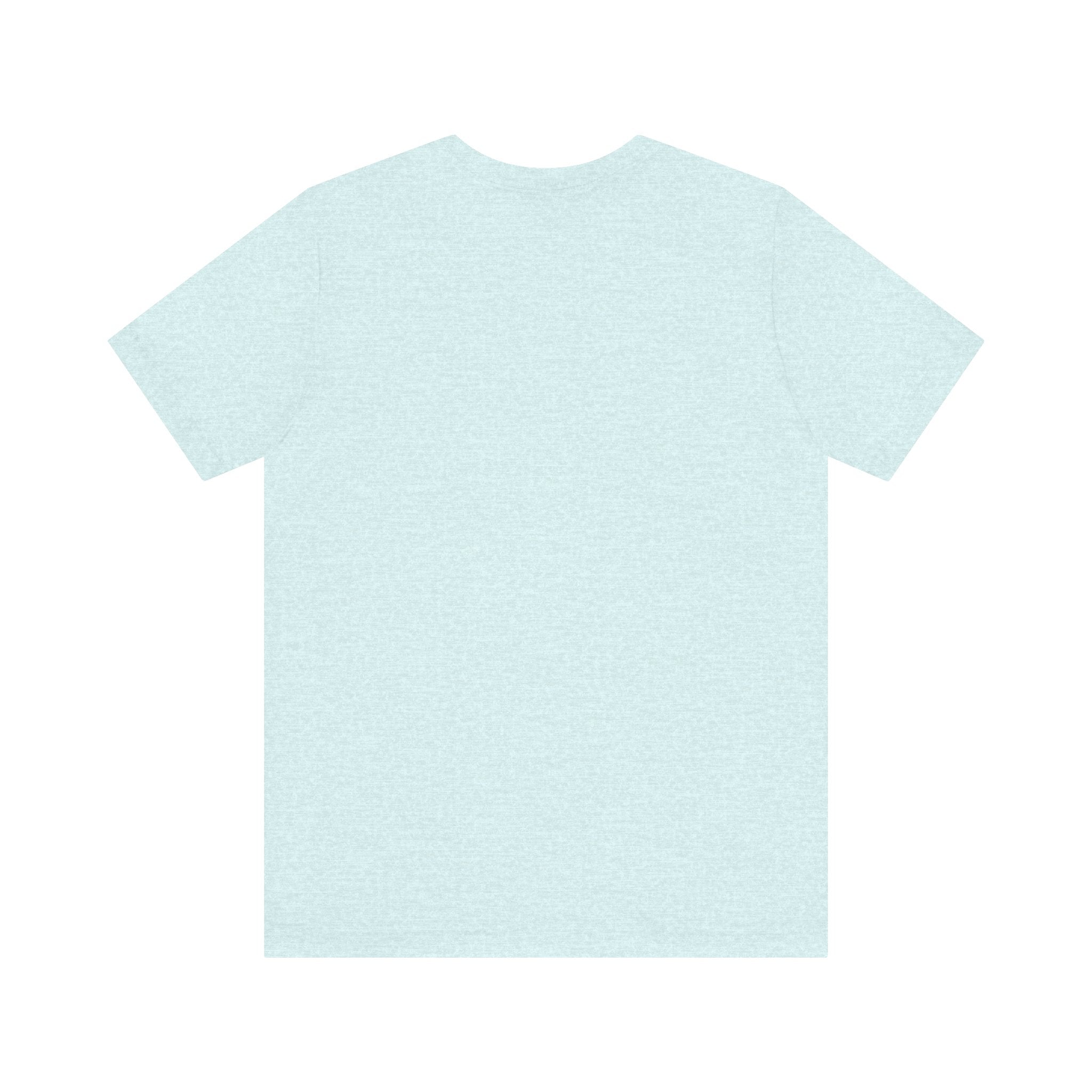 Back view of a plain ice blue heather t-shirt on a white background
