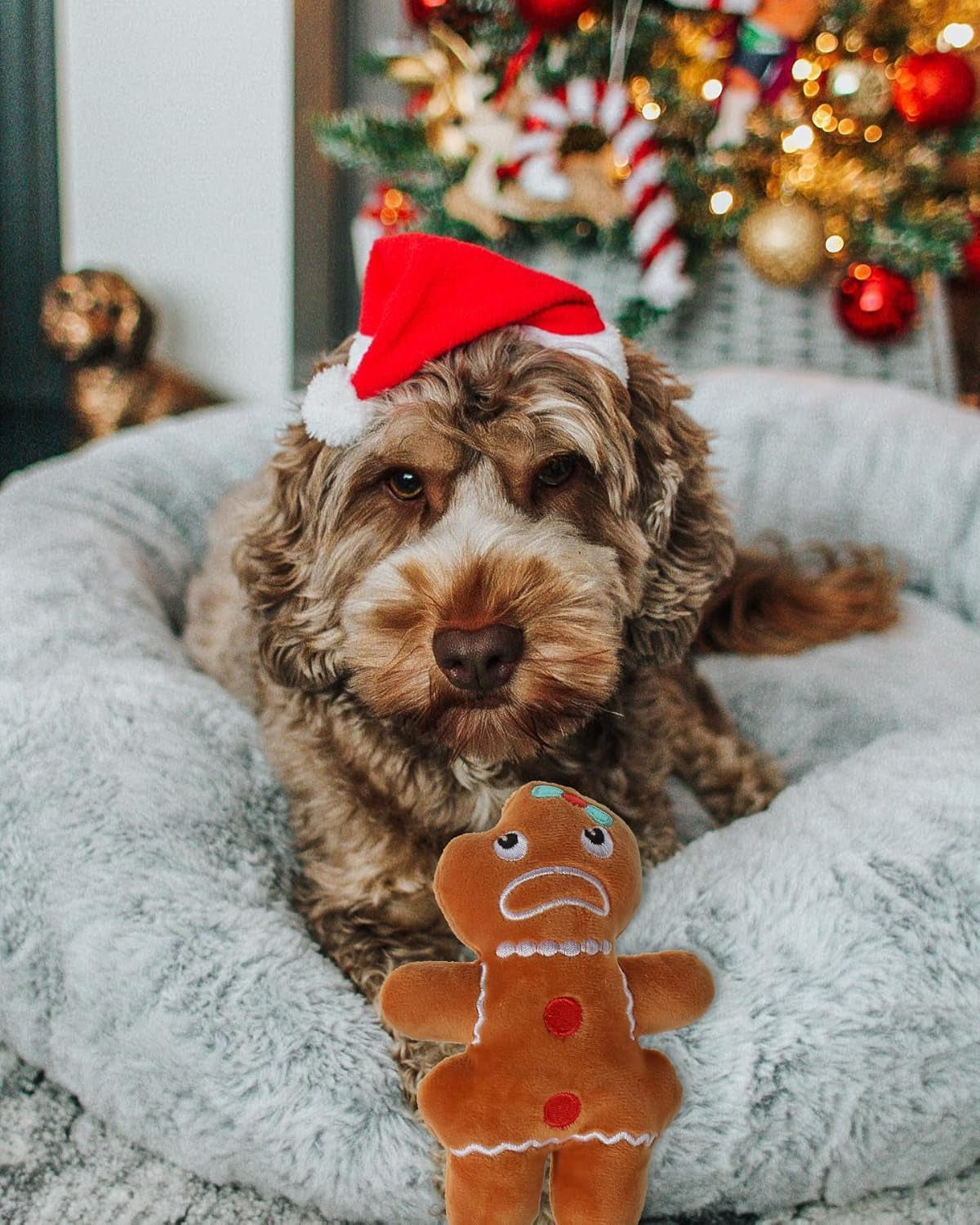 Get Your Pup in the Holiday Spirit with Our Adorable Plush Squeaky Christmas Dog Toy Set! 🎄🐾