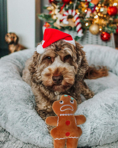 Get Your Pup in the Holiday Spirit with Our Adorable Plush Squeaky Christmas Dog Toy Set! 🎄🐾