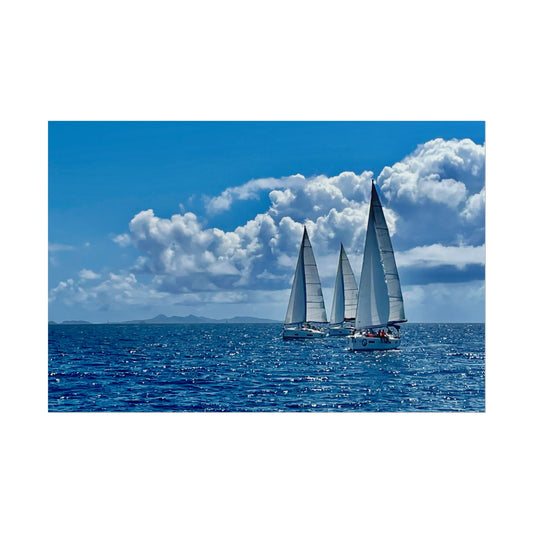 Posteri Rholio Morwrol Golygfaol, Regatta Heineken Sint Maarten.