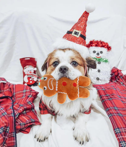 Get Your Pup in the Holiday Spirit with Our Adorable Plush Squeaky Christmas Dog Toy Set! 🎄🐾