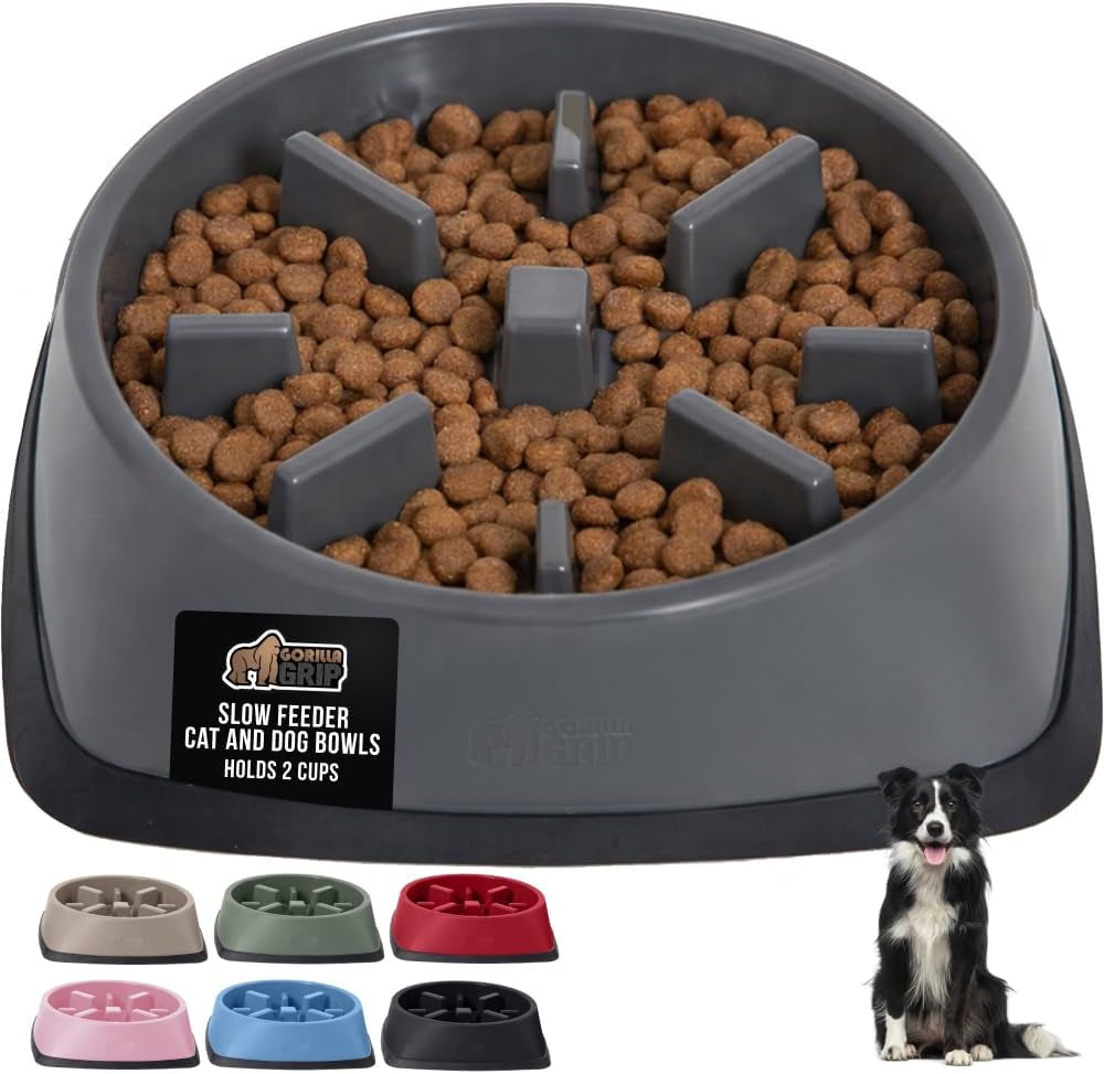 ’s Snack-Slowing, Puzzle-Paw-some Bowls: Because Your Pet Needs a Degree in Food Management!