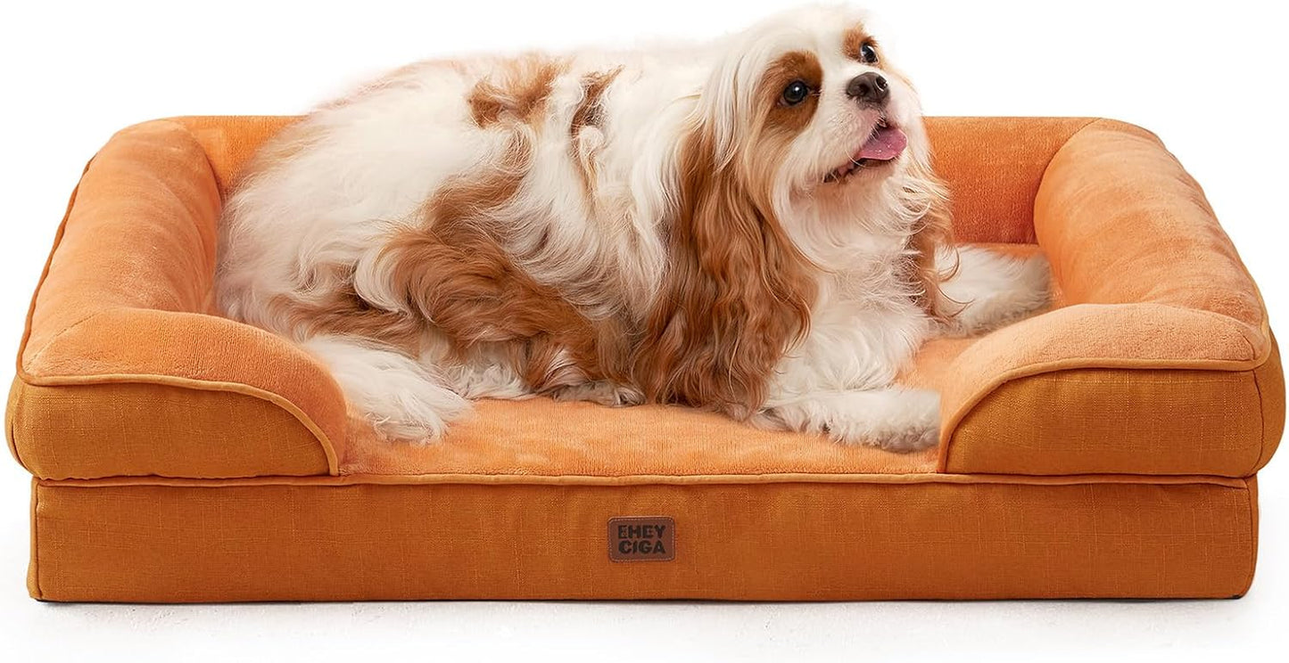 The Pooch Palace: Where Your Medium-Sized Furball Can Snooze Like Royalty on a Waterproof Cloud with a Side of Non-Slip Shenanigans!