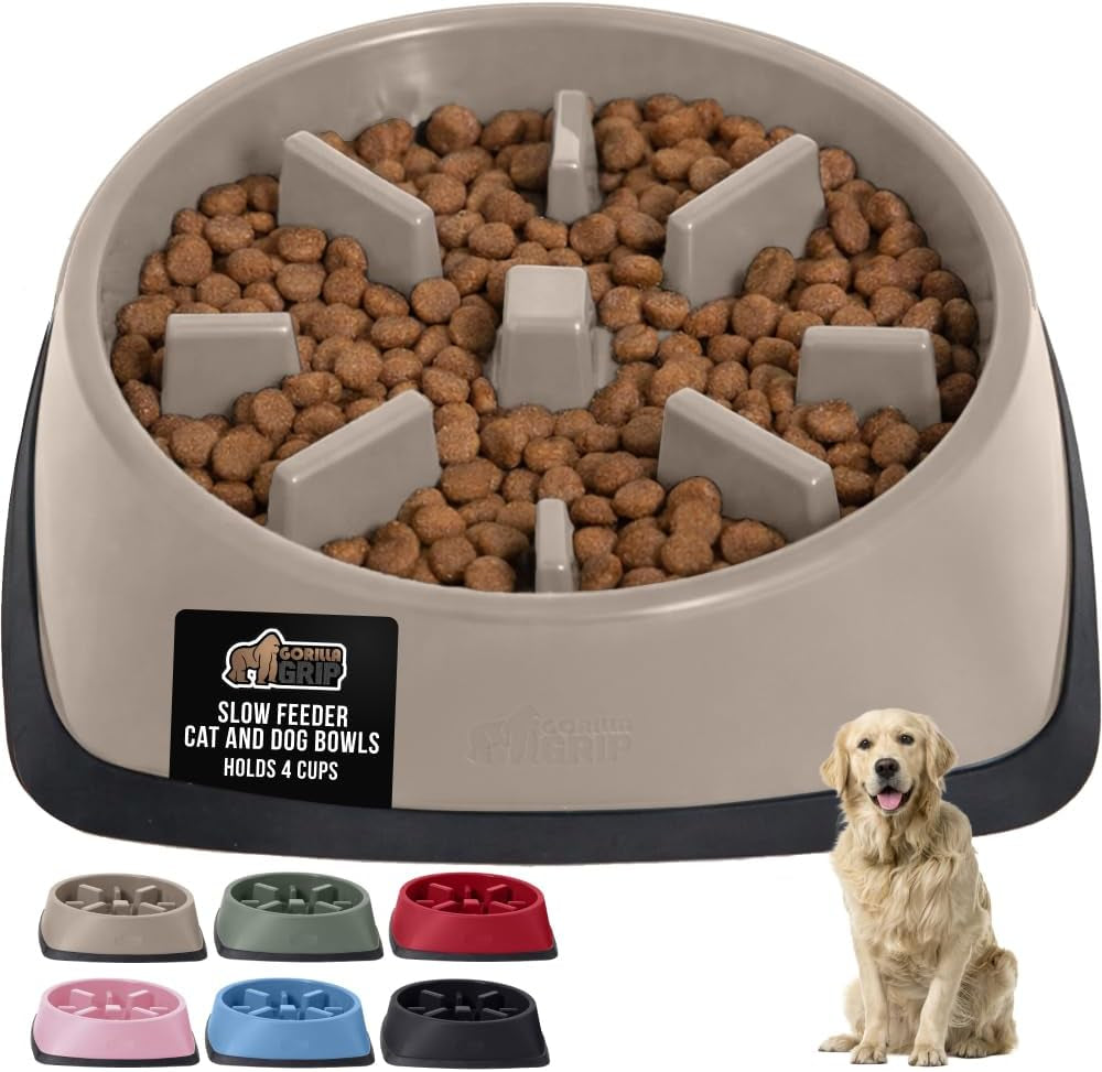 ’s Snack-Slowing, Puzzle-Paw-some Bowls: Because Your Pet Needs a Degree in Food Management!