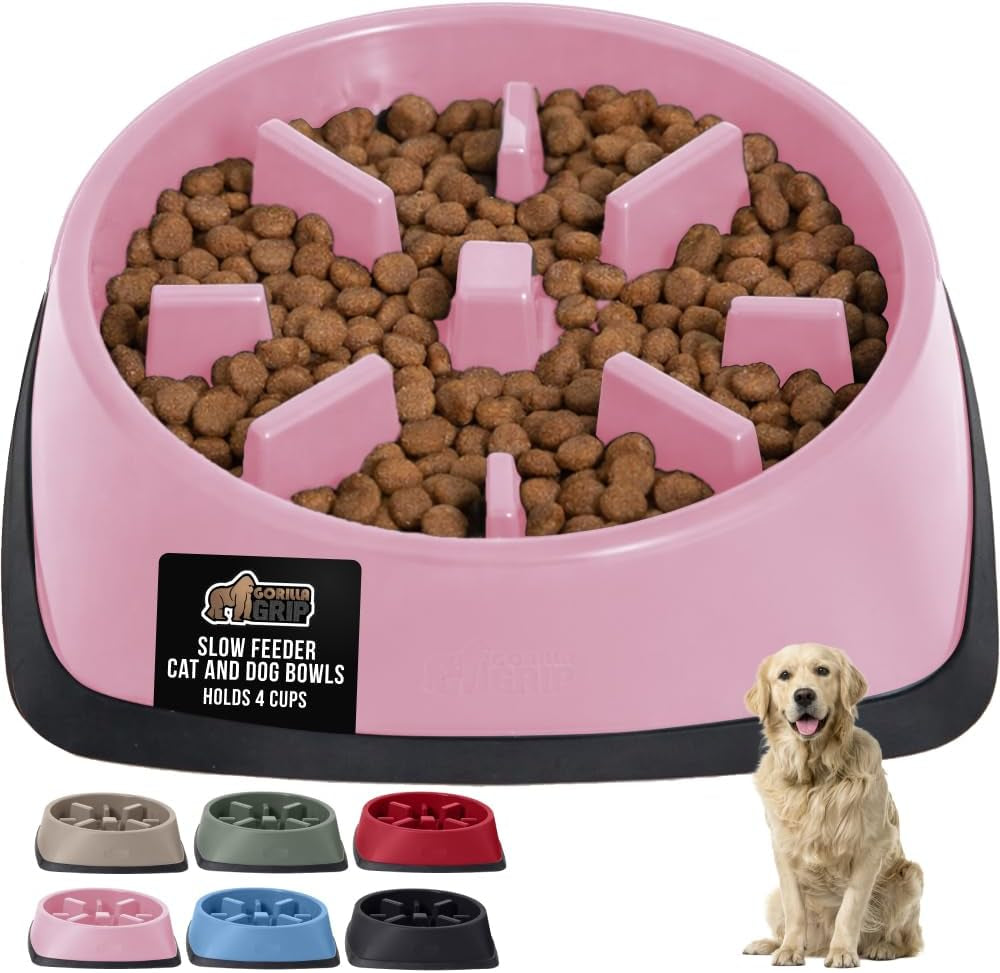 ’s Snack-Slowing, Puzzle-Paw-some Bowls: Because Your Pet Needs a Degree in Food Management!