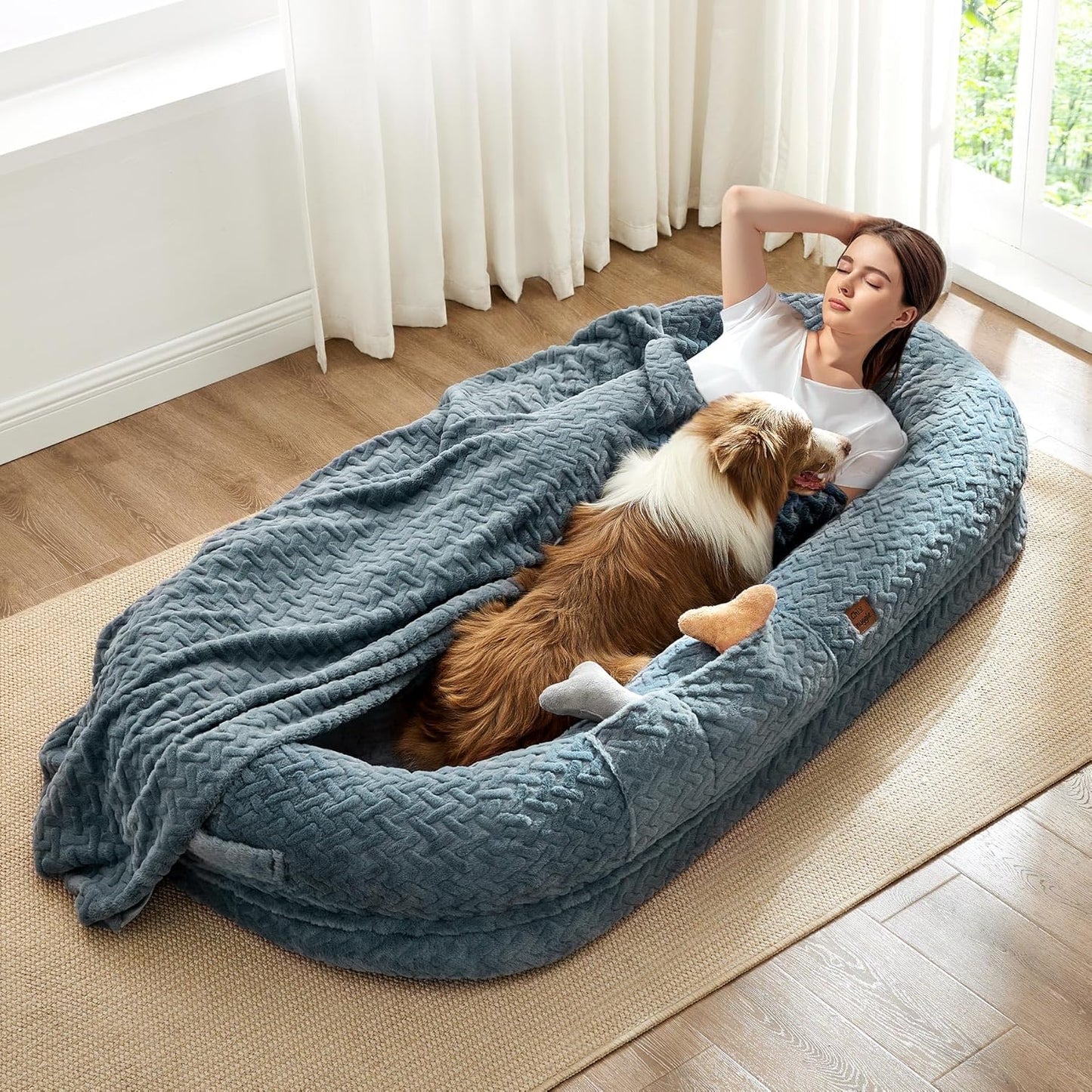Woman lying on a large blue pet bed with a dog, in a bright room with white curtains.