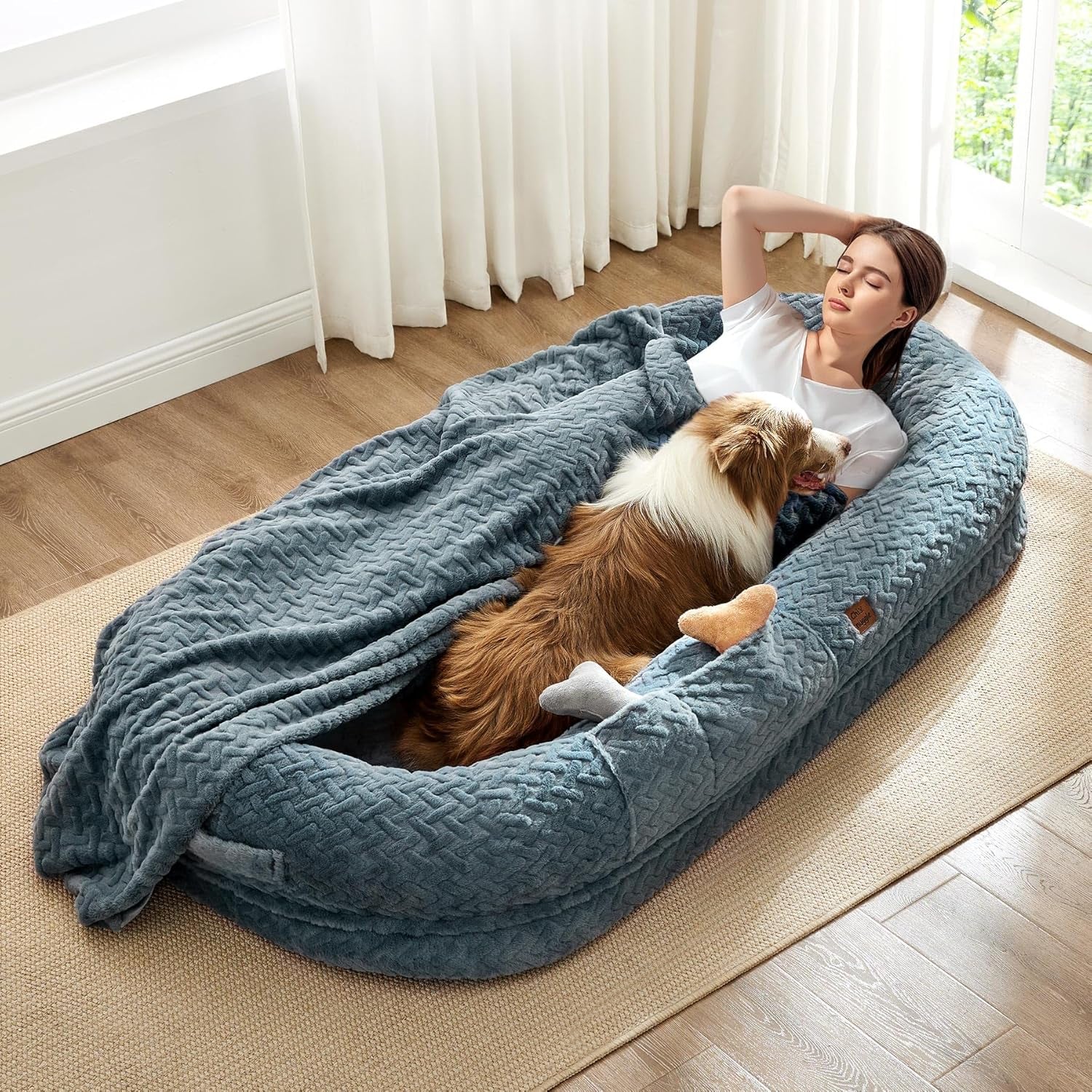 Woman lying on a large blue pet bed with a dog, in a bright room with white curtains.