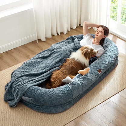 Woman lying on a large blue pet bed with a dog, in a bright room with white curtains.