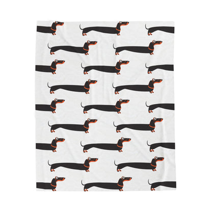 Dachshund blanket on white background
