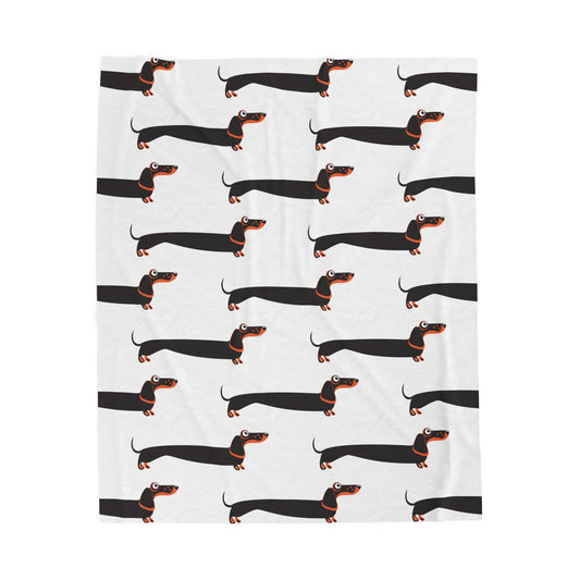 Dachshund blanket on white background