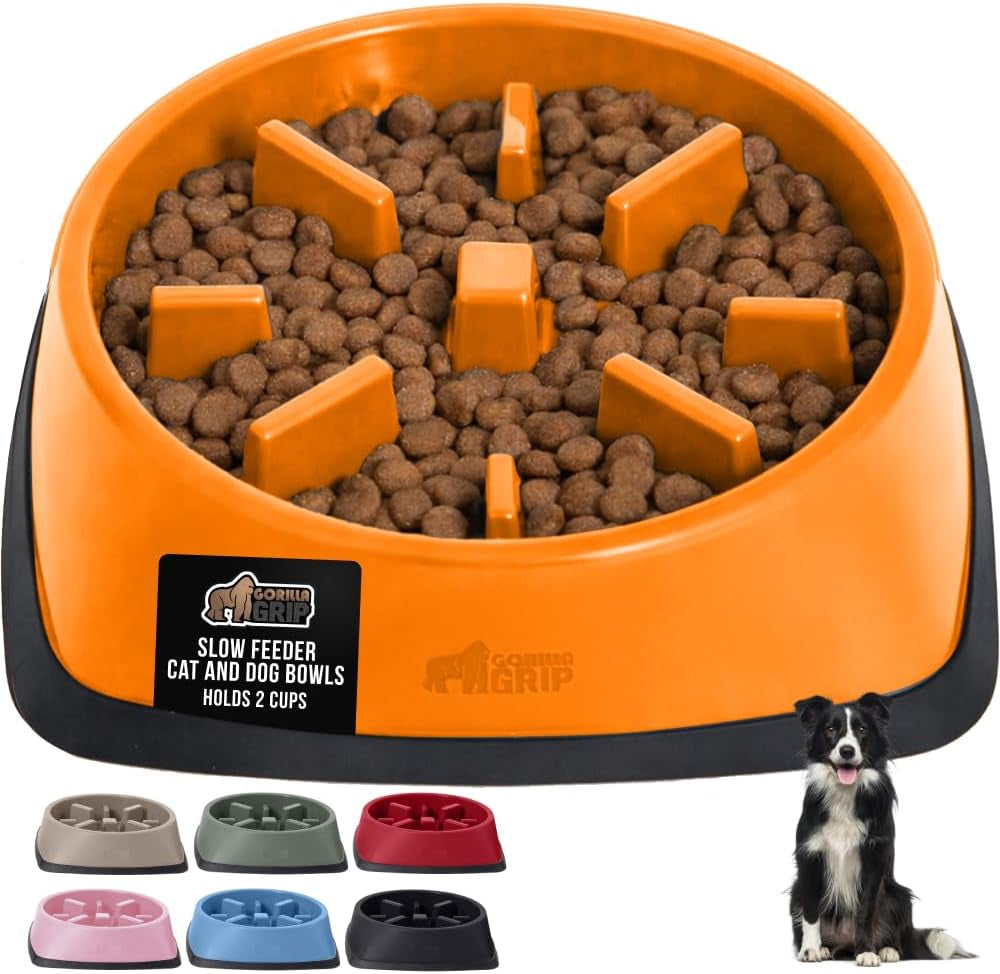 ’s Snack-Slowing, Puzzle-Paw-some Bowls: Because Your Pet Needs a Degree in Food Management!