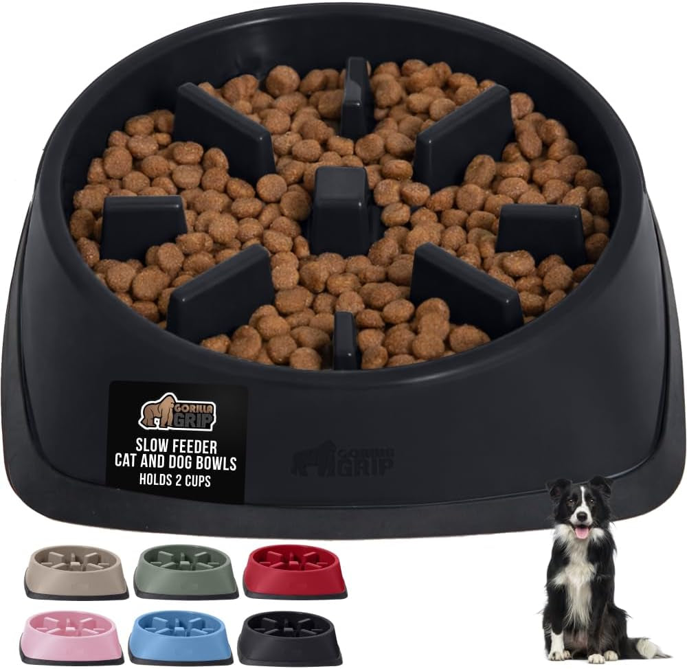 ’s Snack-Slowing, Puzzle-Paw-some Bowls: Because Your Pet Needs a Degree in Food Management!