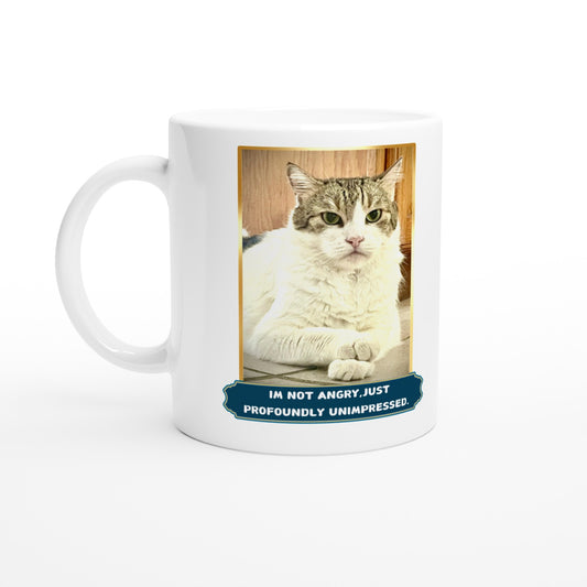 Grumpy Cat photo on a white coffee mug