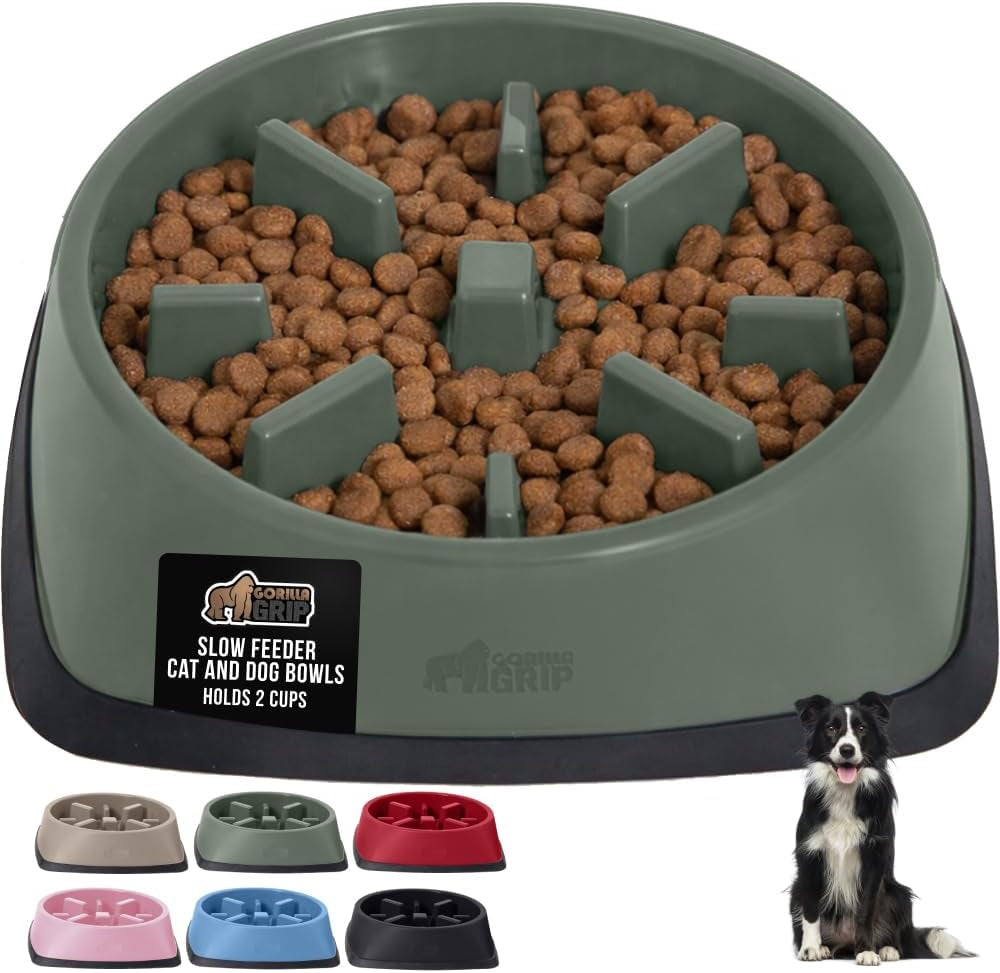 ’s Snack-Slowing, Puzzle-Paw-some Bowls: Because Your Pet Needs a Degree in Food Management!
