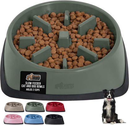 ’s Snack-Slowing, Puzzle-Paw-some Bowls: Because Your Pet Needs a Degree in Food Management!