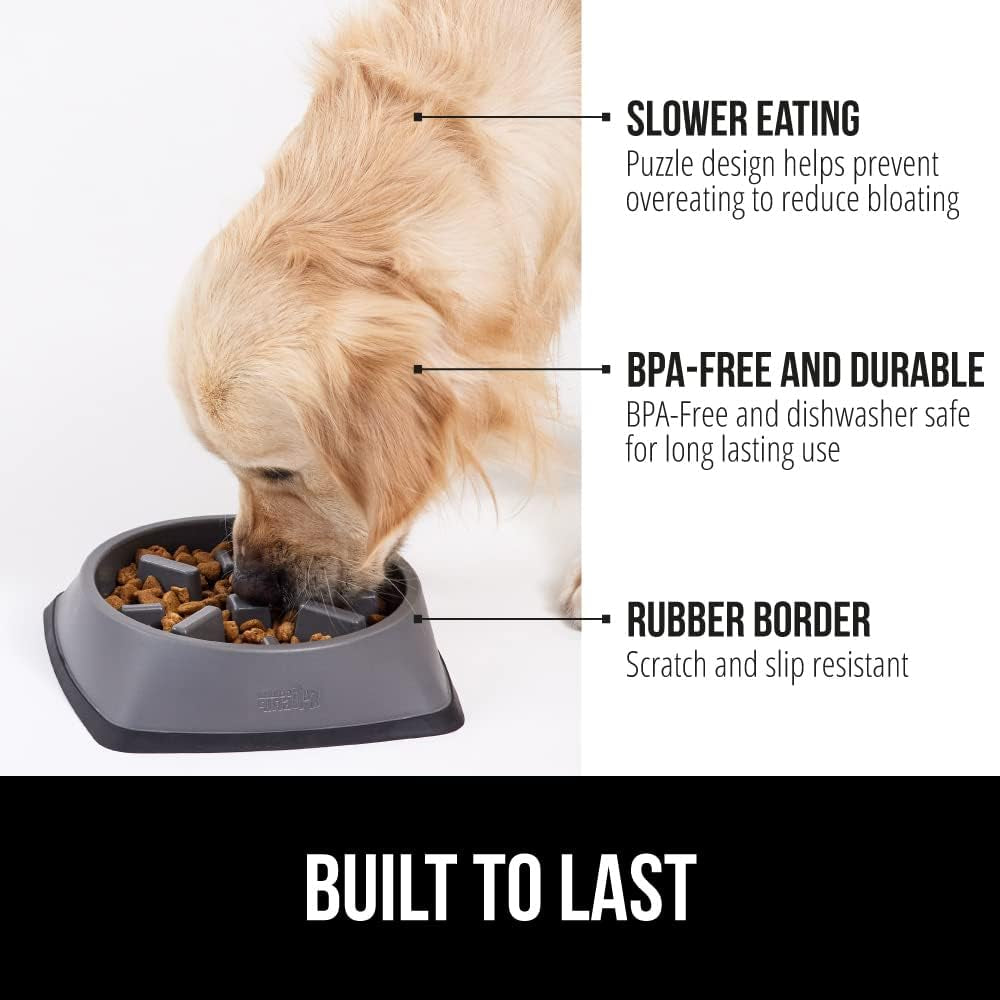 ’s Snack-Slowing, Puzzle-Paw-some Bowls: Because Your Pet Needs a Degree in Food Management!