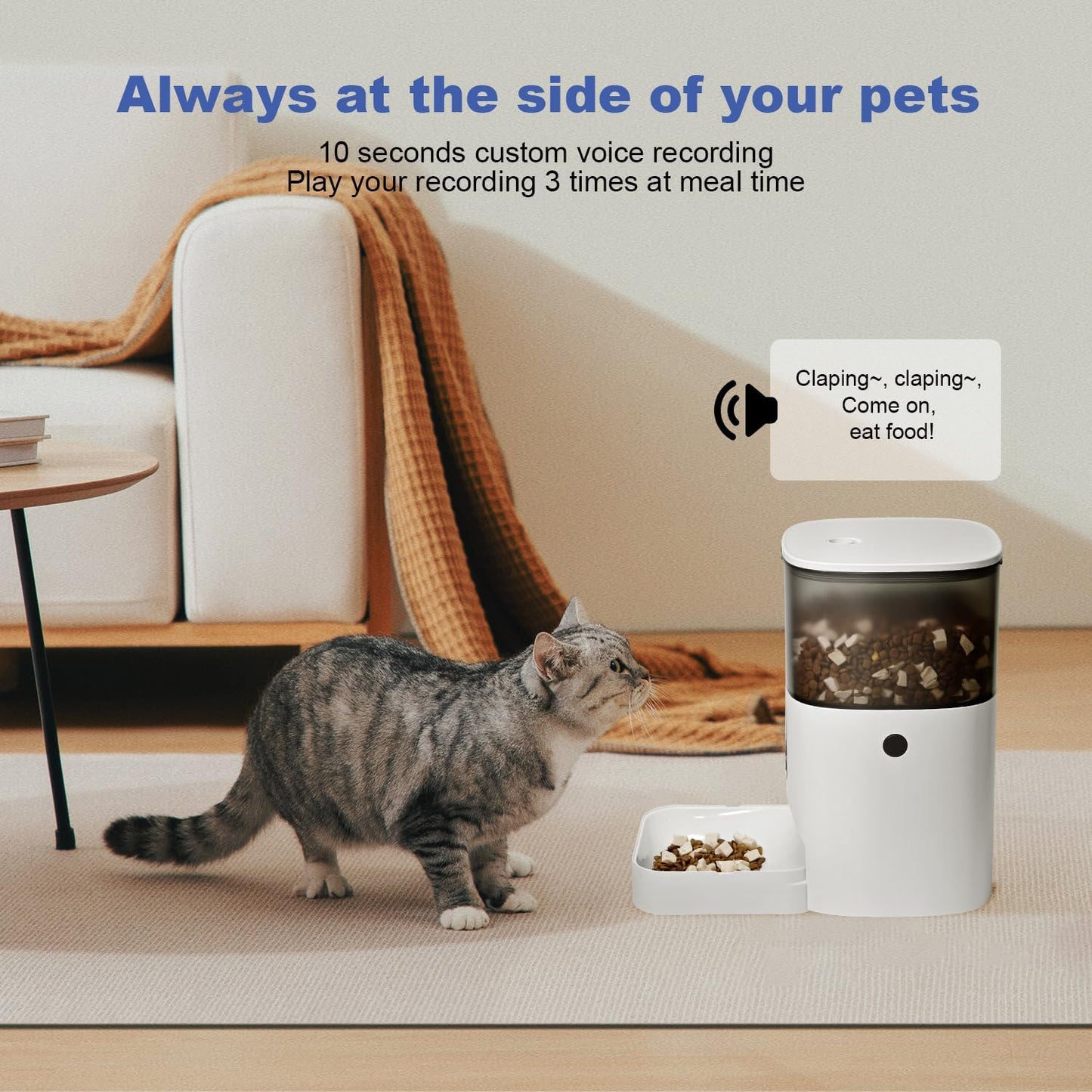 Cat interacting with a pet feeder in a home setting