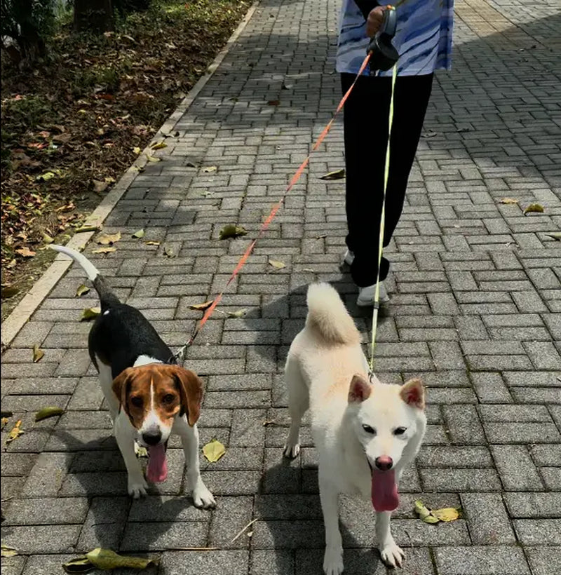 Tangle-Free Double Dog Leash for Small & Medium Breeds