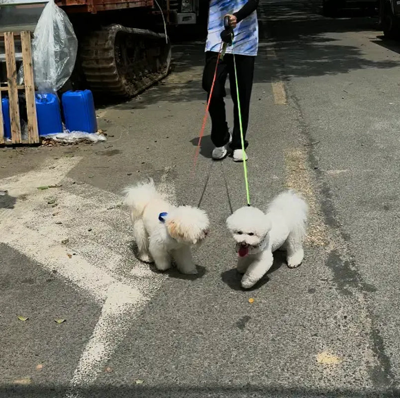 Tangle-Free Double Dog Leash for Small & Medium Breeds