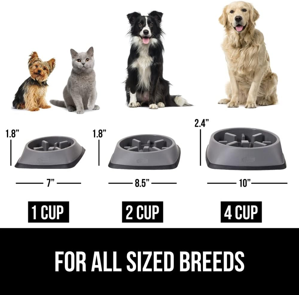 ’s Snack-Slowing, Puzzle-Paw-some Bowls: Because Your Pet Needs a Degree in Food Management!