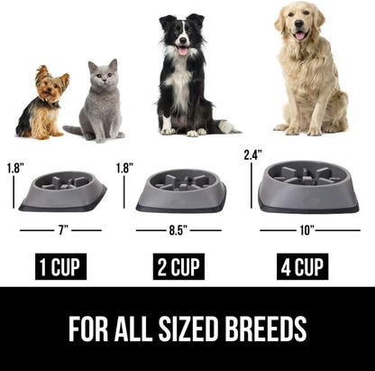’s Snack-Slowing, Puzzle-Paw-some Bowls: Because Your Pet Needs a Degree in Food Management!