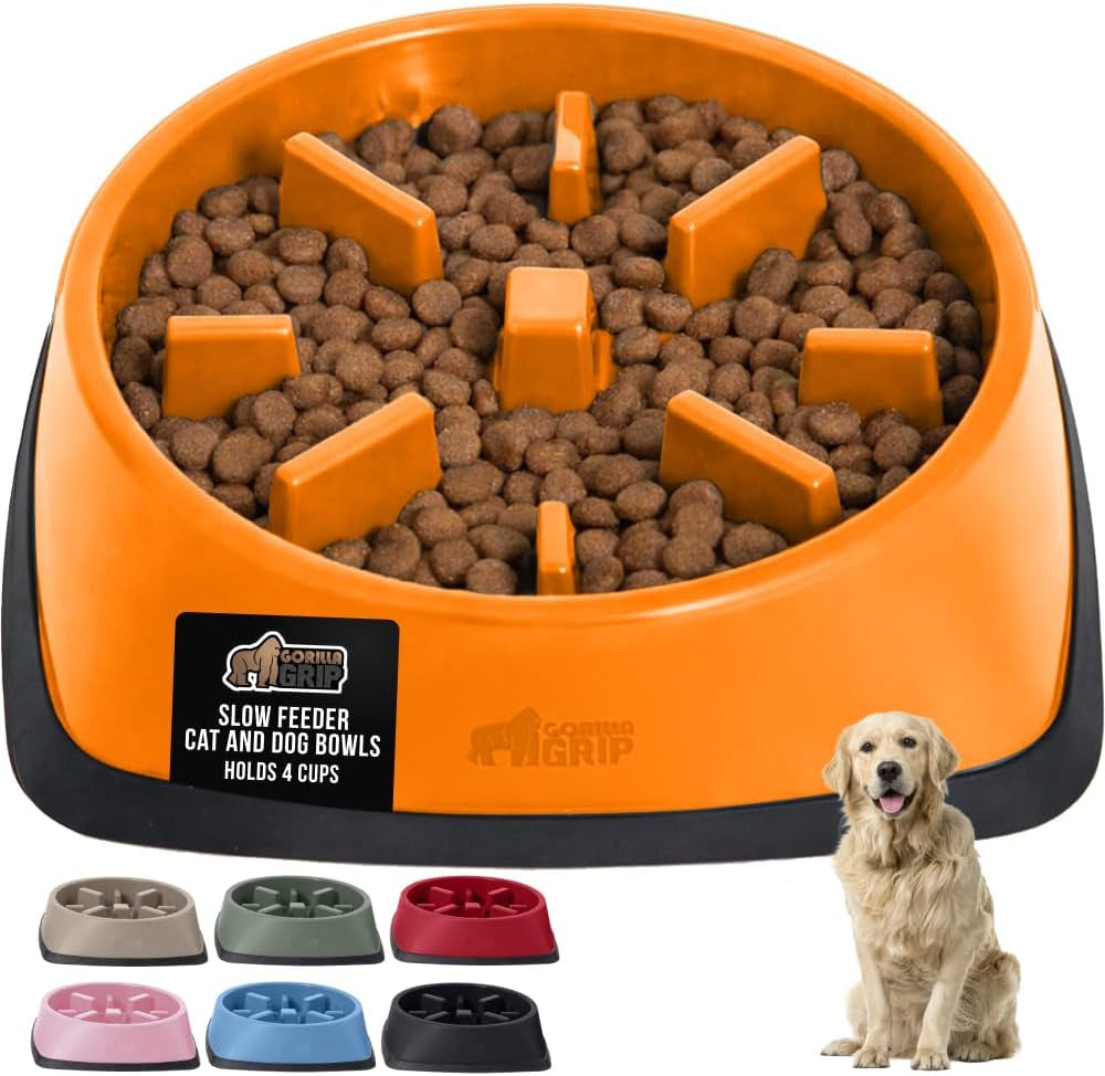 ’s Snack-Slowing, Puzzle-Paw-some Bowls: Because Your Pet Needs a Degree in Food Management!
