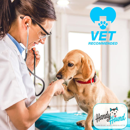 Paw-sitively Pawesome Sunblock and Butter for Your Furry Beach Bum – Because Even Dogs Deserve SPF and Soft Paws!