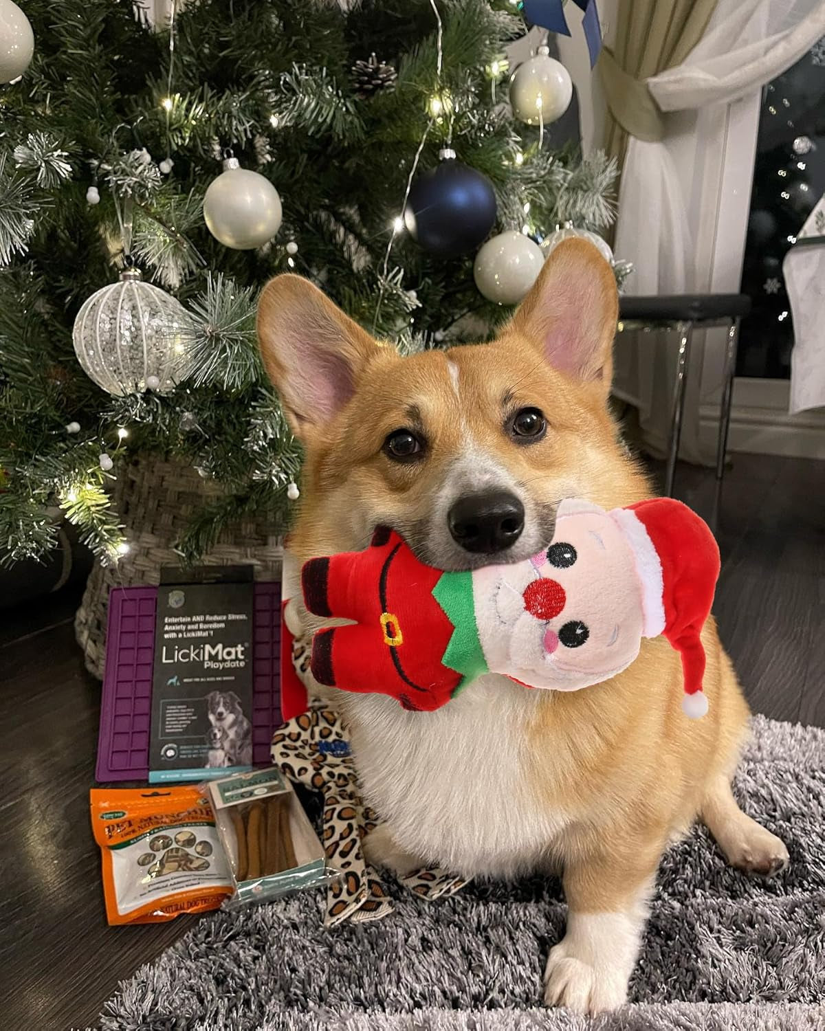 Get Your Pup in the Holiday Spirit with Our Adorable Plush Squeaky Christmas Dog Toy Set! 🎄🐾