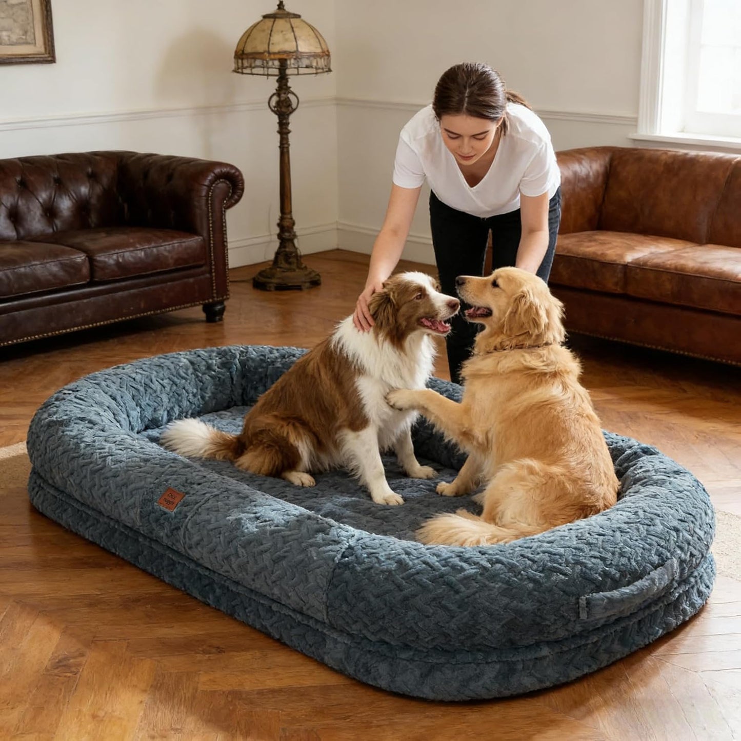 Two dogs on a large blue pet bed with a person interacting with them in a living room.